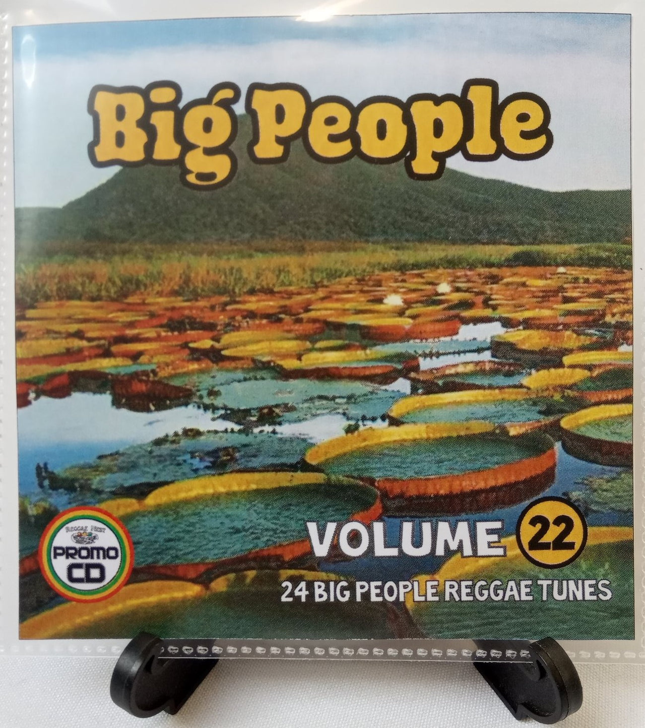 Big People Volume 22 - Mature Reggae for Mature people