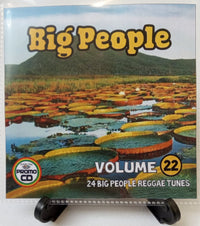 Thumbnail for Big People Volume 22 - Mature Reggae for Mature people