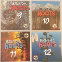 Thumbnail for Brutal Roots 4CD Jumbo Pack 3 (Vol 9-12) - Modern Roots Reggae Collection