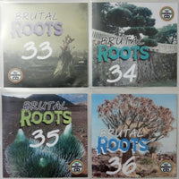 Thumbnail for Brutal Roots 4CD Jumbo Pack 9 (Vol 33-36) - Modern Roots Reggae Collection
